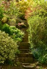 Flasher steps